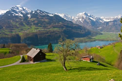 Swiss Property In The Spring