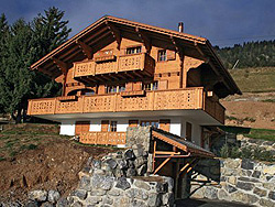 Ski chalets for sale