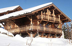 Ski chalets for sale