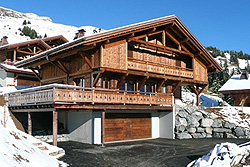 Ski property for sale