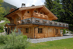 Ski property for sale