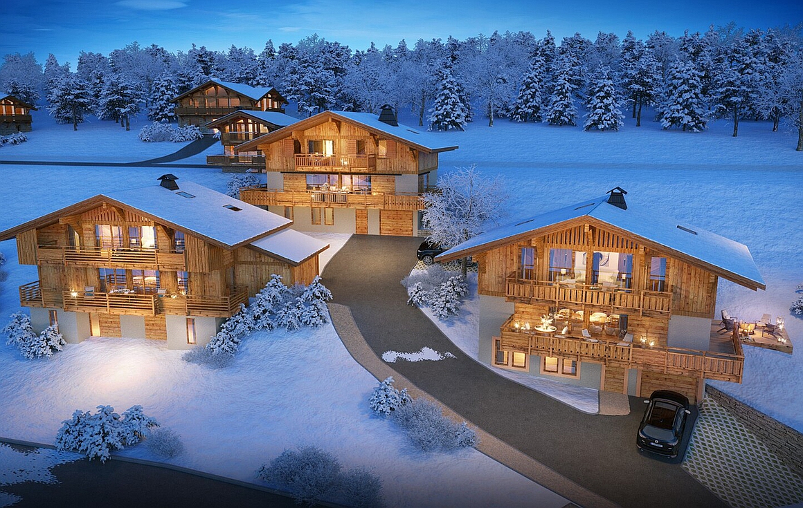 The chalet for sale in Praz sur Arly