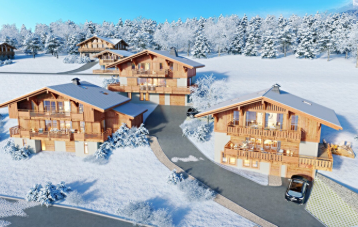 The chalet for sale in Praz sur Arly
