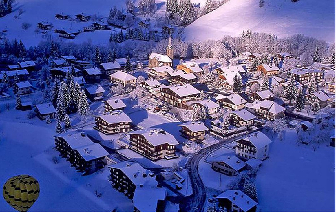 The chalet for sale in Praz sur Arly