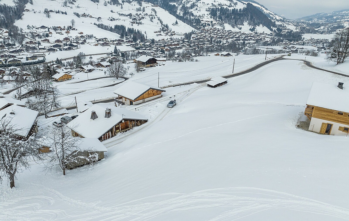 The chalet for sale in Praz sur Arly