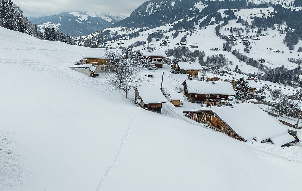 The chalet for sale in Praz sur Arly
