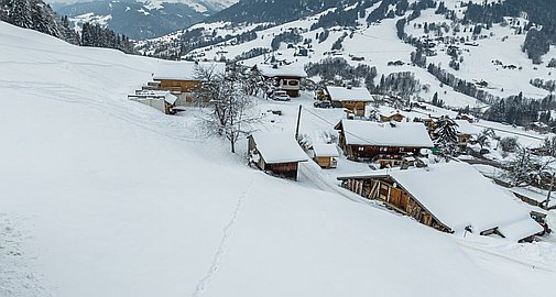 The chalet for sale in Praz sur Arly