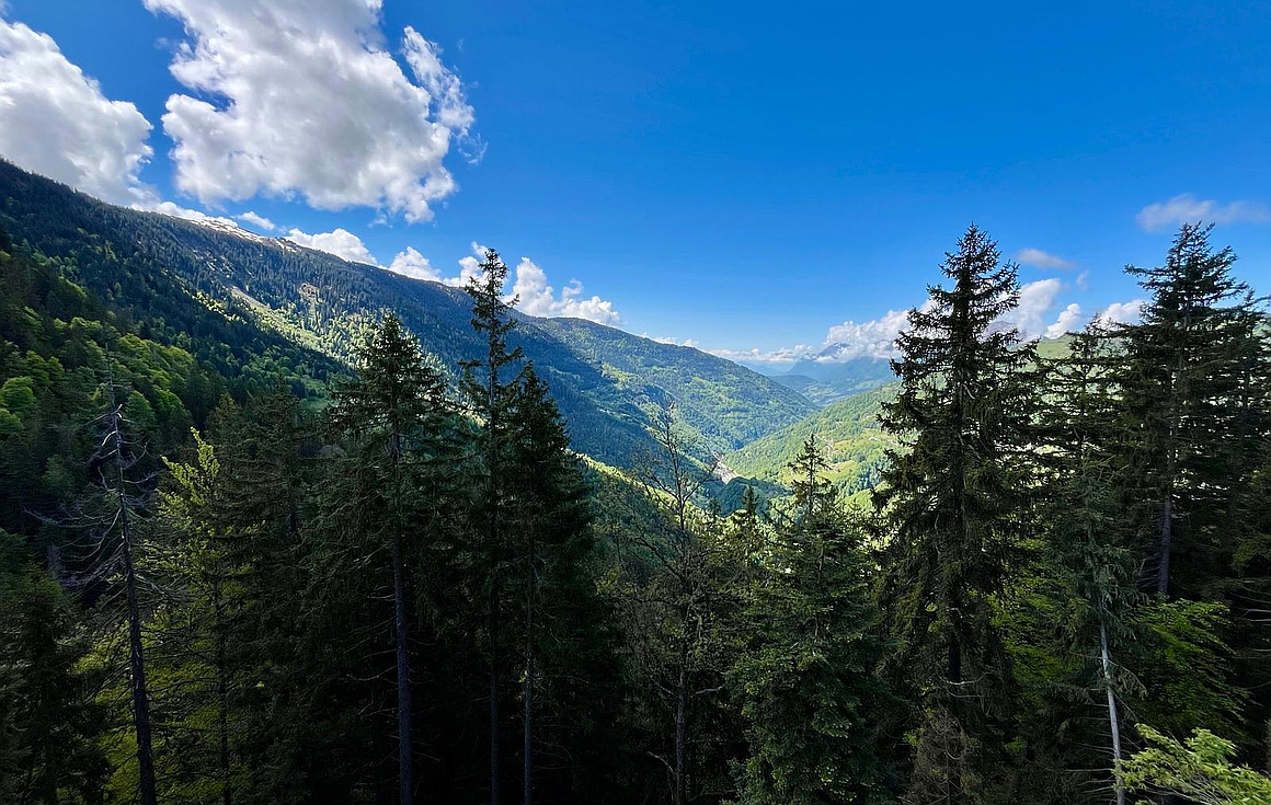 Crest-Voland apartment for sale Crest-Voland apartment for sale