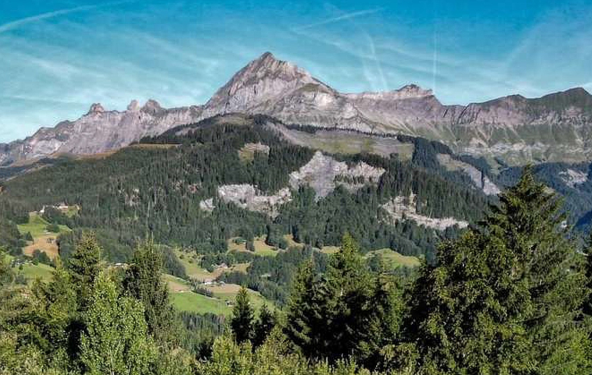 Crest-Voland chalet for sale Crest-Voland chalet for sale