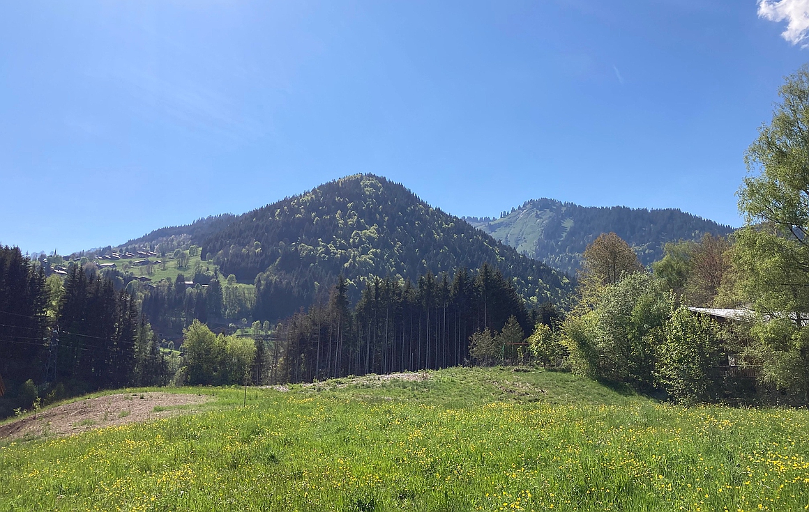 The area of the apartments for sale in Morzine