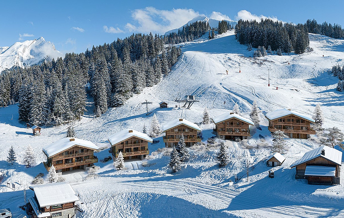 Manigod chalets for sale