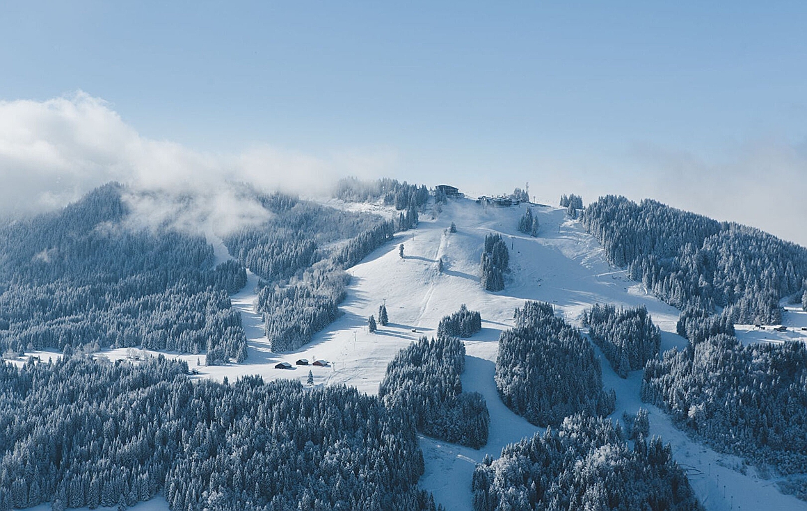 Morzine chalet for sale