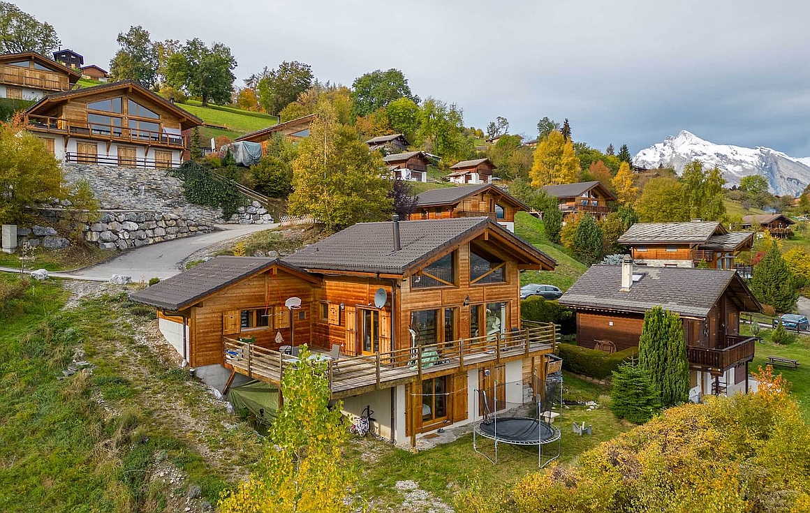 Exterior of chalet for sale in Nendaz