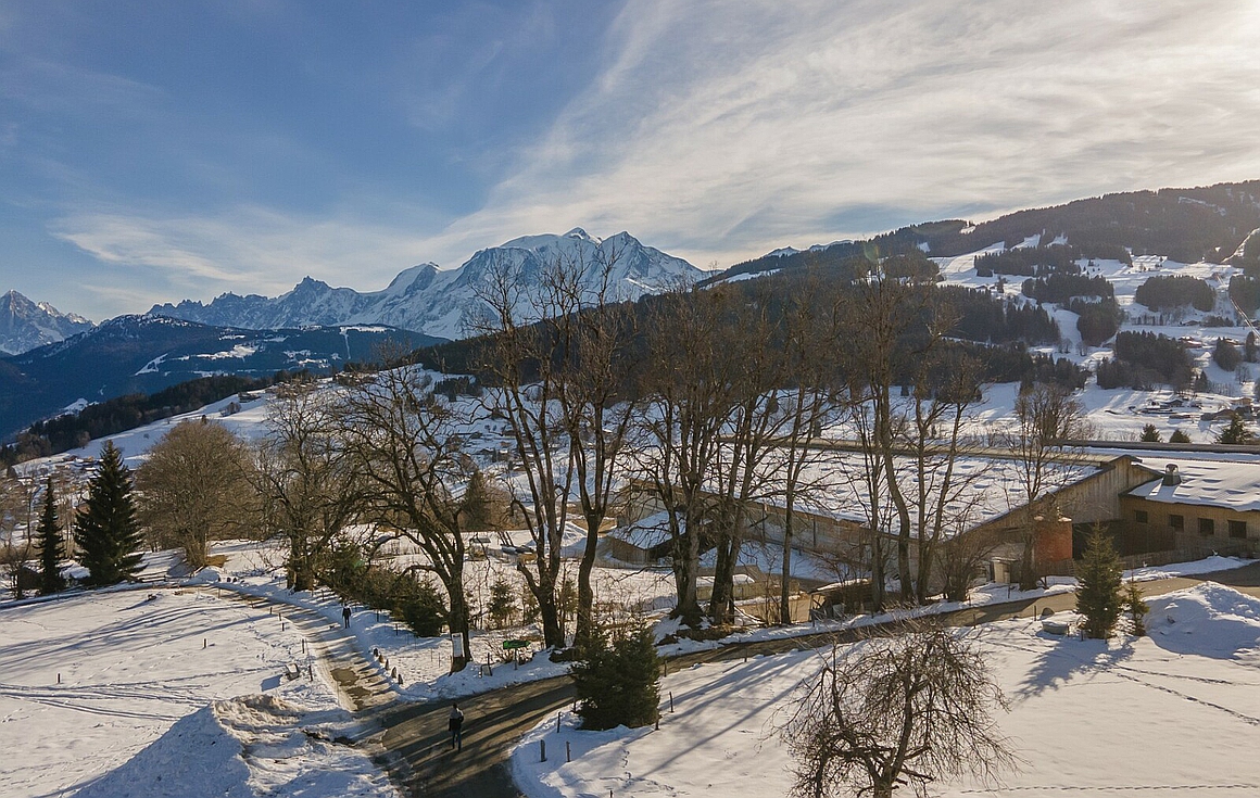 View from the chalet for sale in Combloux