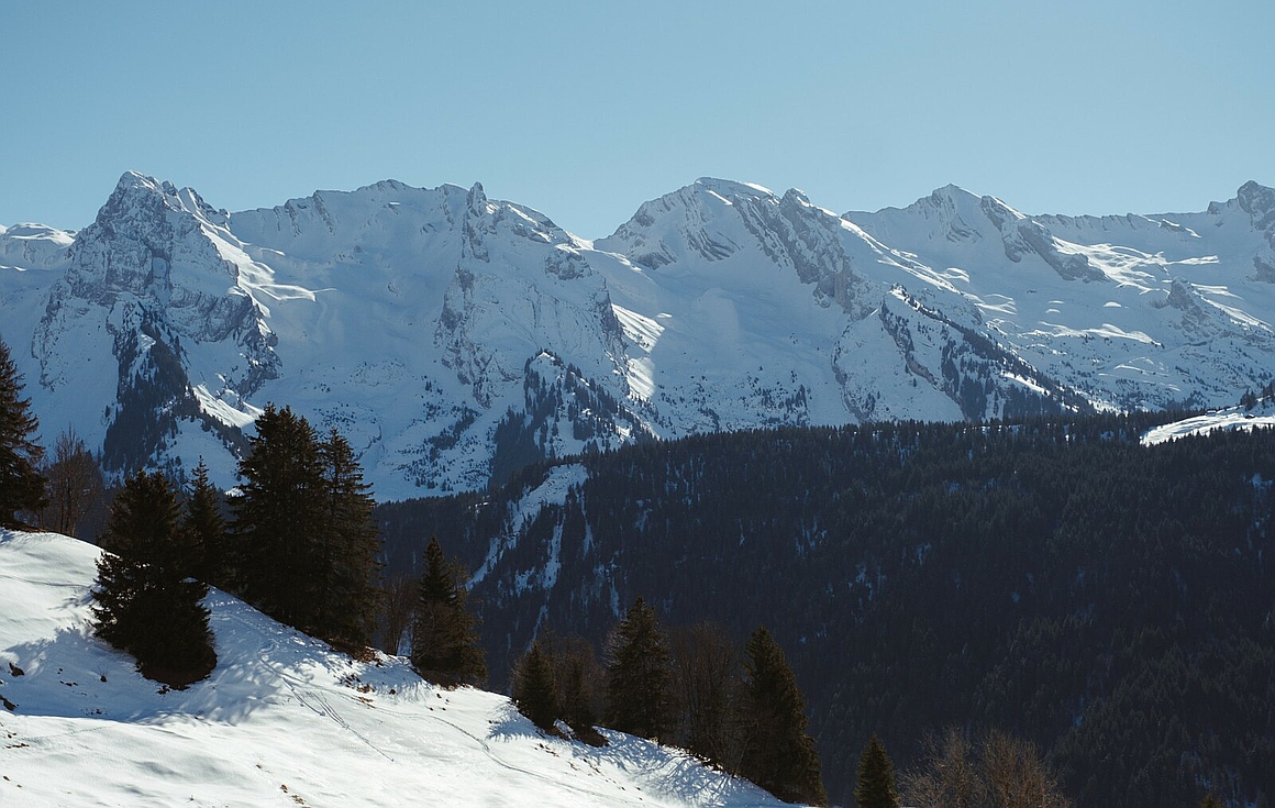 View from the property for sale in Le Grand Bornand